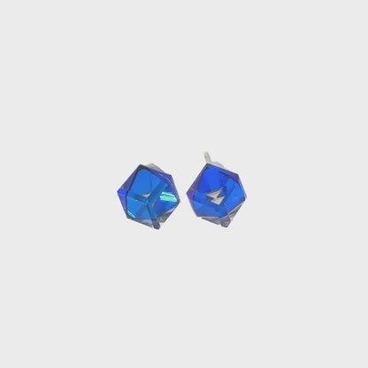 Silver Stud Earrings